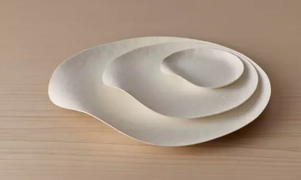 1534487992580129.png 一次性餐具竟然美得像藝術(shù)品!(2).png